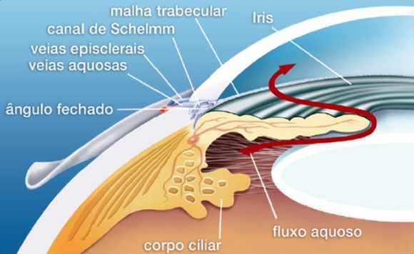 Tipos